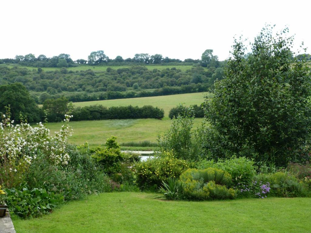 Cameley Lodge - Self Catering Temple Cloud Exterior photo